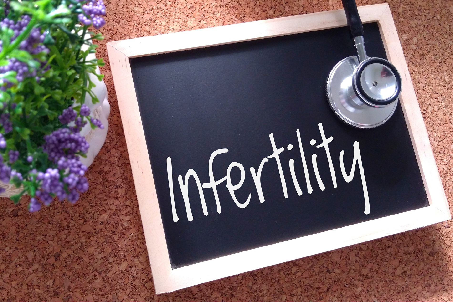 Managing Infertility Managing Of Infertility Managing T Of Infertility In Females Managing